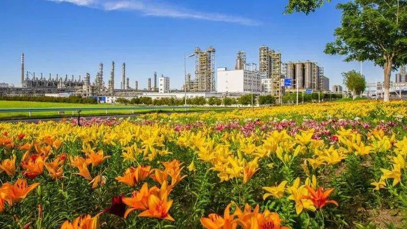 北京硅酮胶粘剂：揭秘其背后的技术奥秘与应用领域