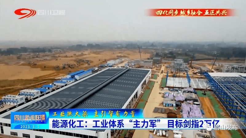 增稠剂与稳定剂：揭秘其优缺点，助力材料选择**